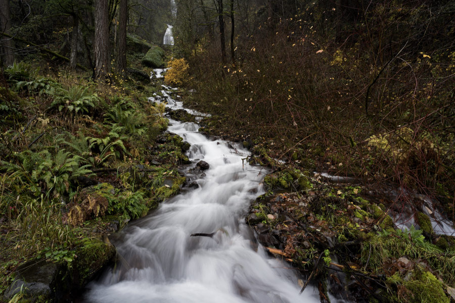 wahkeena falls in the columbia gorge oregon pacific northwest waterfall autumn