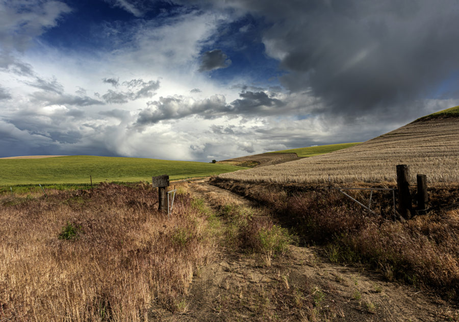 A farm lane in Eastern Oregon with dramatic storm clouds by Gary Quay