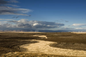 Windmills in the distance over a wheat field in Sherman County, Oregon by Gary Quay