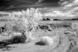 Arroyo, Needle Mountain Road, Arizona by Gary Quay