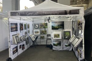 The 2025 Art Festival Season Kicks Off Soon